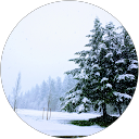 daya wati profile picture